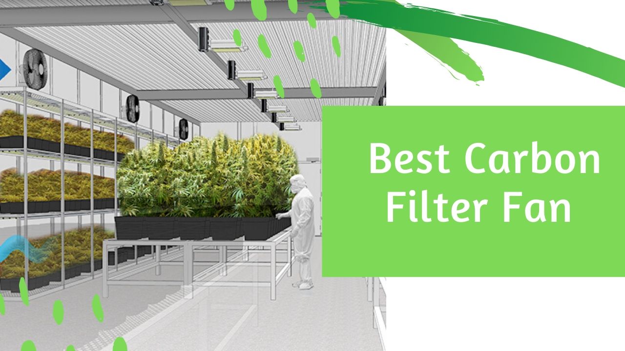 best Carbon Filter Fan